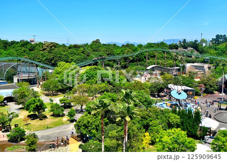 アドベンチャーワールドの風景 アドベンチャーワールドの風景 125909645