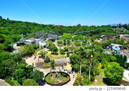 アドベンチャーワールドの風景 125909646