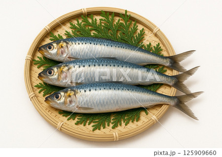 笊に採れたてのイワシ 125909660