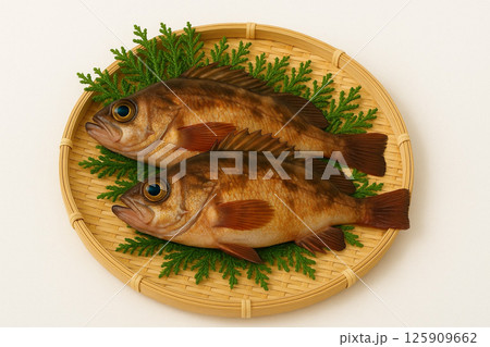 笊に採れたてのメバル 125909662