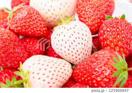 赤イチゴと白イチゴ 赤イチゴと白イチゴ 125909847