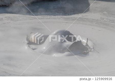 大地の芸術？　別府坊主地獄  125909916