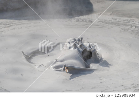 大地の芸術? 別府坊主地獄 大地の芸術? 別府坊主地獄 125909934