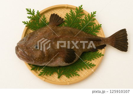 笊に採れたてのアンコウ 笊に採れたてのアンコウ 125910107