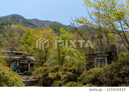 新緑に包まれた奈良井宿 新緑に包まれた奈良井宿 125910425
