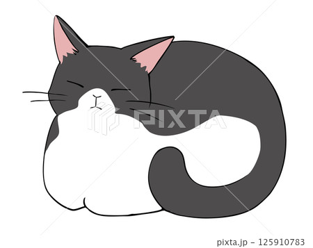 ハチワレ ねこ 香箱座り 125910783