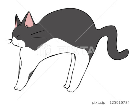 ハチワレ ねこ のびる 125910784