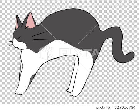 ハチワレ ねこ のびる 125910784