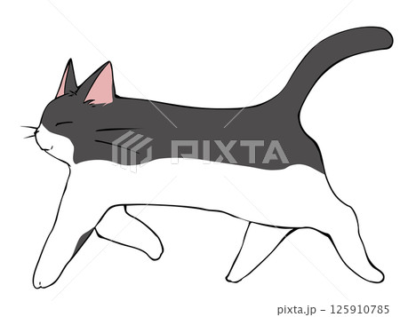 ハチワレ ねこ 歩く 125910785