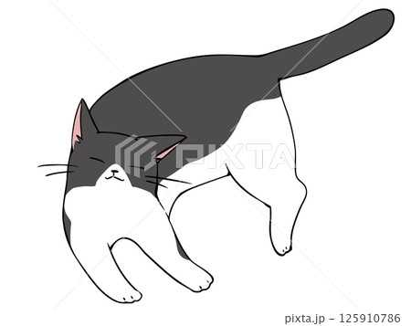 ハチワレ ねこ リラックス 125910786