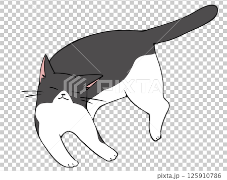 ハチワレ ねこ リラックス 125910786