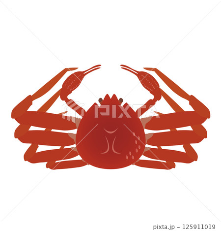 ズワイガニのイラスト 125911019