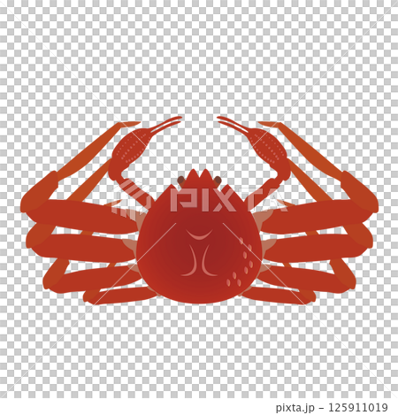 ズワイガニのイラスト 125911019
