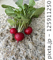赤いラディッシュ 125911250