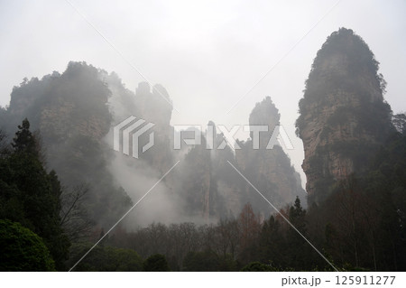 Misty Sandstone Pillars in Zhangjiajie National Forest Park, China 125911277