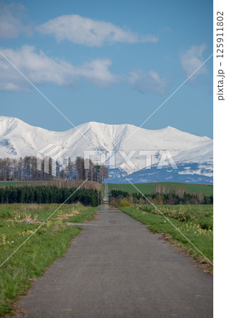 春の雪山に続く草原の道 春の雪山に続く草原の道 125911802