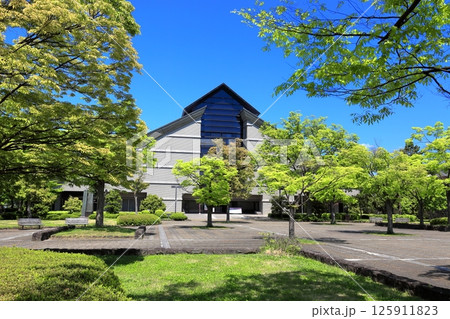 新緑の公園と山形美術館 125911823