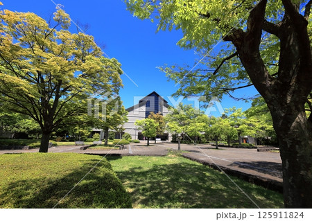 新緑の公園と山形美術館 125911824