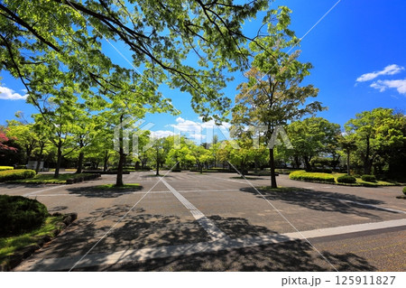 新緑の公園と山形美術館 125911827