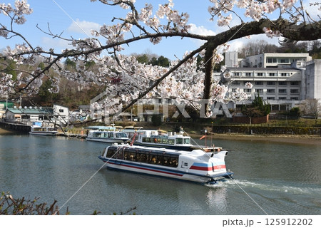 桜満開の恵那峡 125912202