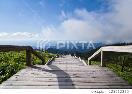 山道の先に広がる絶景 山道の先に広がる絶景 125912330