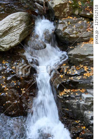 渓流に散った紅葉した葉 125912518