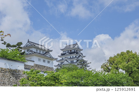 五月晴れの福山城 125912691