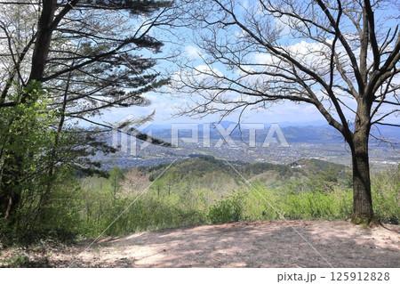 秋葉山から見た大館盆地 125912828