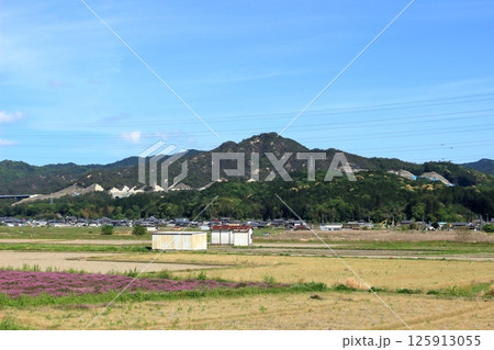 春の堂山の風景 春の堂山の風景 125913055