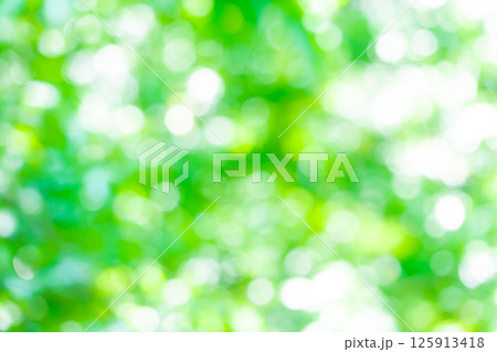背景素材・新緑若葉の木洩れ日 丸ボケ 玉ボケ ボケ表現 125913418