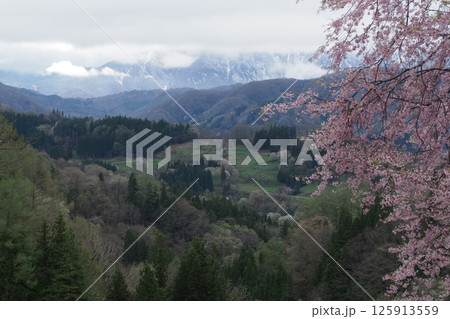 日本の美しい村小川村 125913559