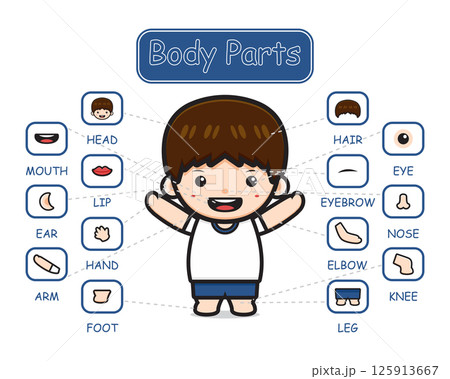 Happy cute kid boy body part anatomy cartoon icon clipart illustration 125913667