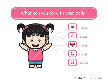 Five senses template with cute girl human organs cartoon icon illustration 125913680
