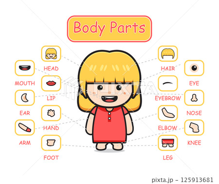 Happy cute kid girl body part anatomy cartoon icon clipart illustration 125913681