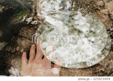 透明な鏡に浮かぶ桜の花びら 透明な鏡に浮かぶ桜の花びら 125913959