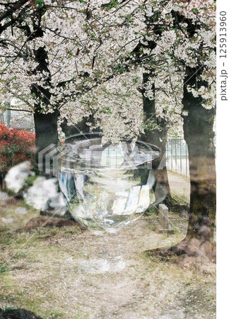 桜の花びらが浮かぶグラス 桜の花びらが浮かぶグラス 125913960