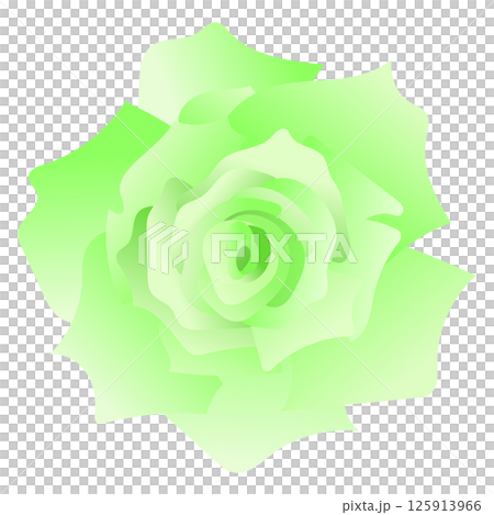 Green rose illustration (close-up) 125913966