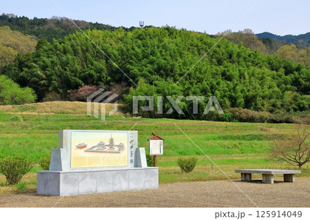 特別史跡 山田寺跡 特別史跡 山田寺跡 125914049