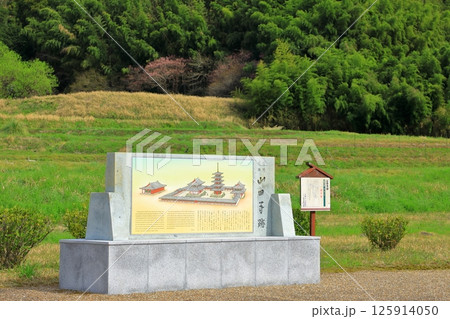 特別史跡 山田寺跡 特別史跡 山田寺跡 125914050