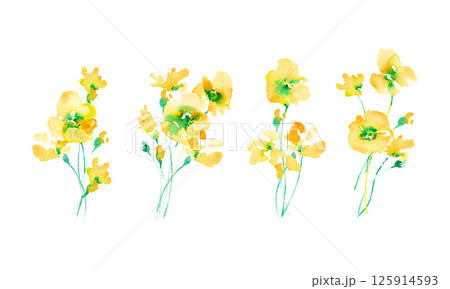 水彩画。水彩タッチの黄色い花ベクターイラスト。黄色い花のフレーム素材。春の花。 125914593
