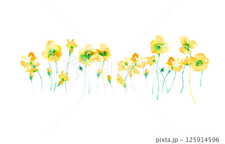 水彩画。水彩タッチの黄色い花ベクターイラスト。黄色い花のフレーム素材。春の花。 125914596