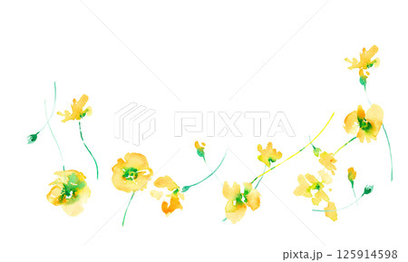水彩画。水彩タッチの黄色い花ベクターイラスト。黄色い花のフレーム素材。春の花。 125914598