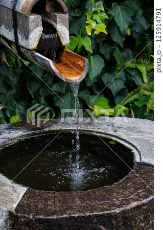 南国の雰囲気がある伊豆急下田周辺の文物。伊豆急下田駅下田市静岡県2024 南国の雰囲気がある伊豆急下田周辺の文物。伊豆急下田駅下田市静岡県2024 125914791