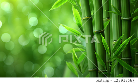 Bamboo leaves. The sun is shining through the leaves. Leaves are green and lush. 125915567