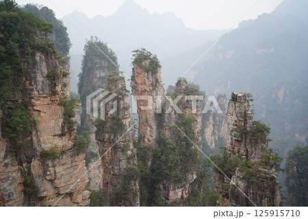Majestic Sandstone Pillars of Zhangjiajie National Forest Park, China Majestic Sandstone Pillars of Zhangjiajie National Forest Park, China 125915710