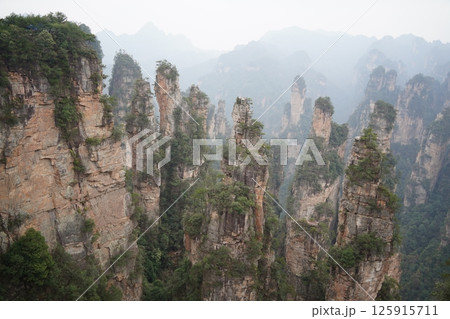 Majestic Sandstone Pillars of Zhangjiajie National Forest Park, China Majestic Sandstone Pillars of Zhangjiajie National Forest Park, China 125915711