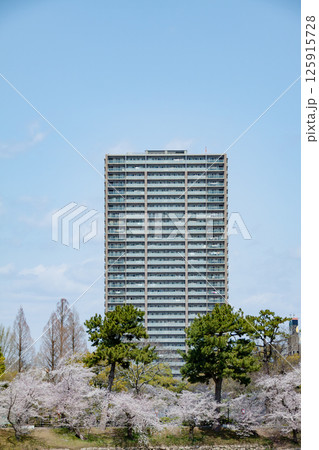 満開の桜と青空に映える高層マンション 125915728