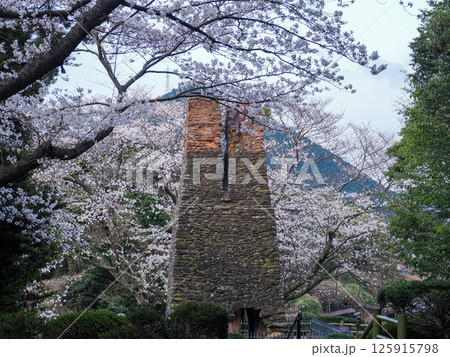 世界文化遺産萩反射炉と桜 世界文化遺産萩反射炉と桜 125915798