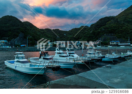 中木港の黄昏。多くの漁船が停泊している。ヒリゾ浜中木南伊豆町伊豆半島静岡県2024 125916086