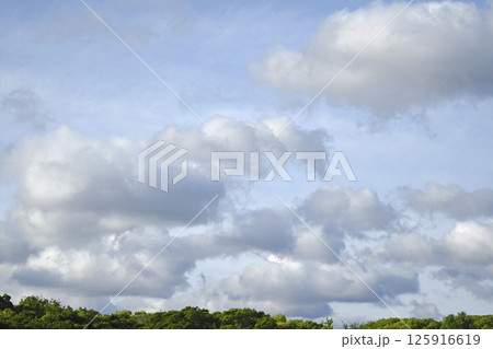 新緑の大阪城公園　絶景 （ fix撮影 ） 125916619